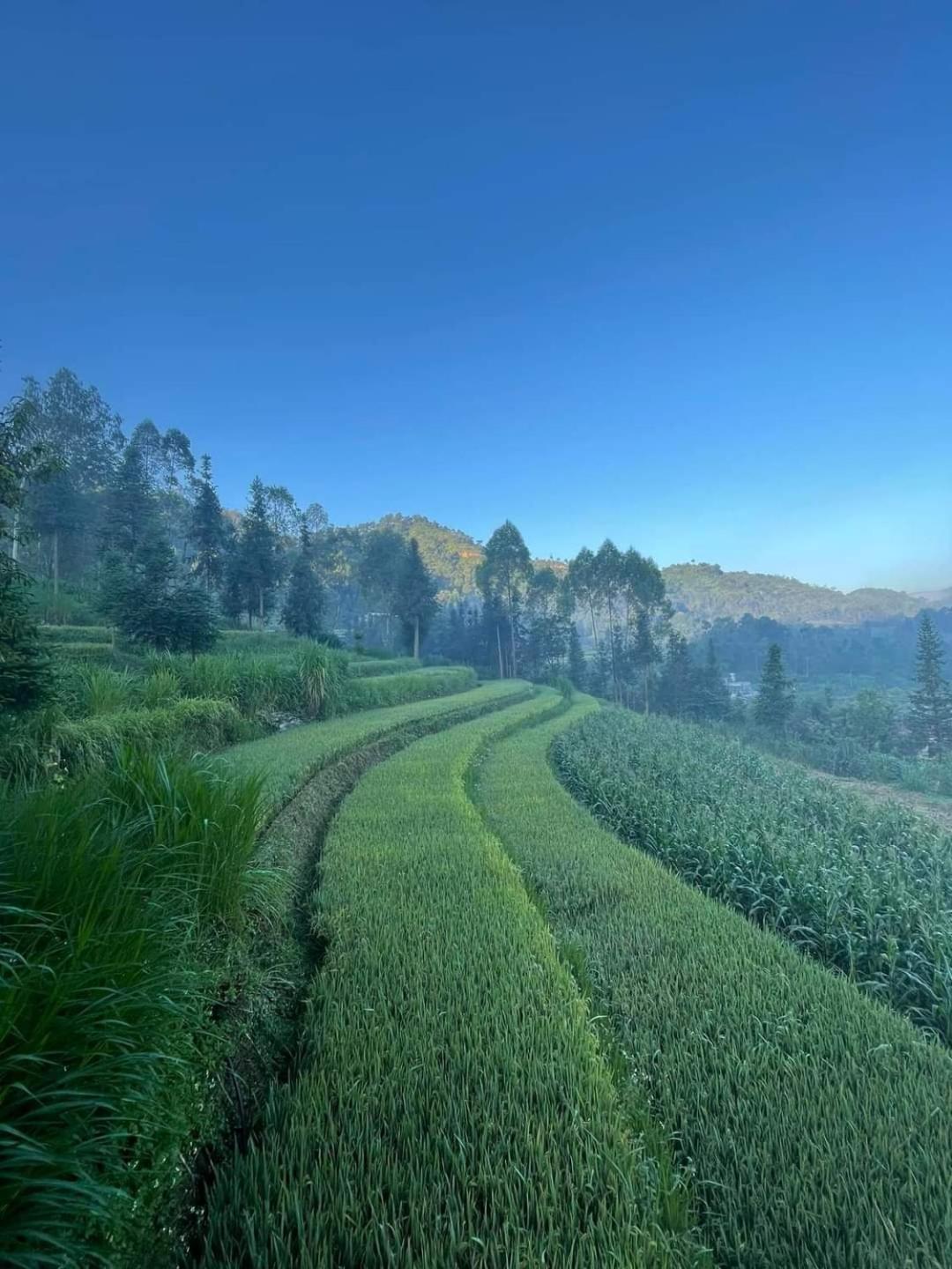 Dong Van Hmong Homestay Екстериор снимка